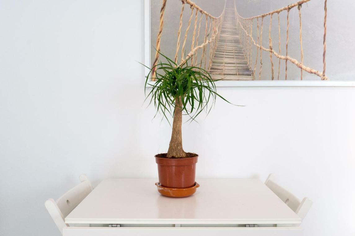 Ml1C-Prime Location Marble Apartment With Patios 马拉加 外观 照片