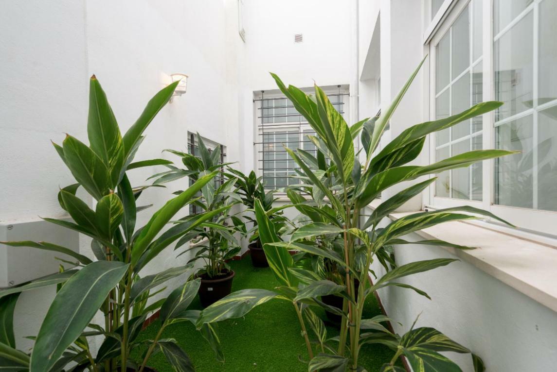Ml1C-Prime Location Marble Apartment With Patios 马拉加 外观 照片